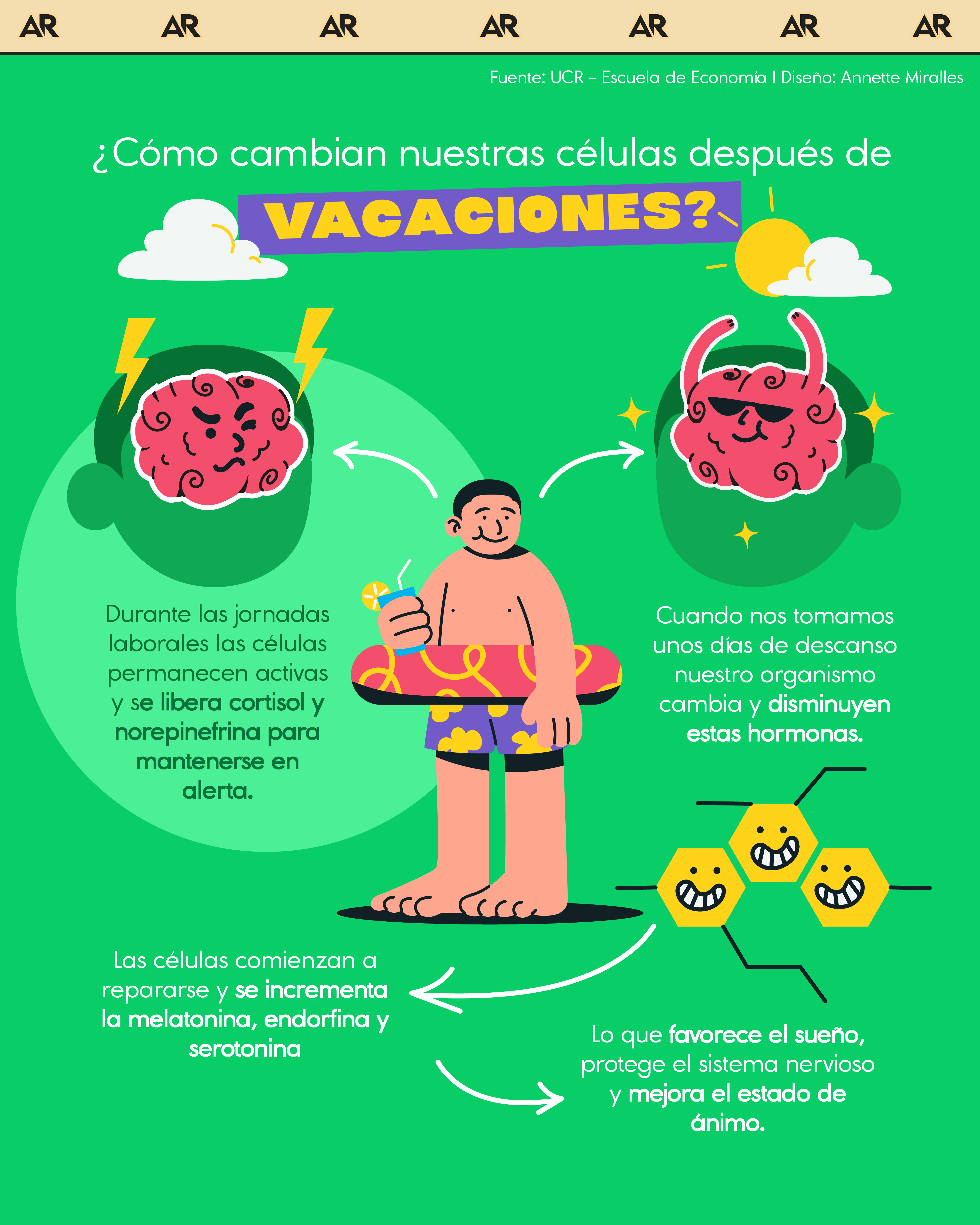 ¿Cómo cambian nuestras células después de vacaciones?