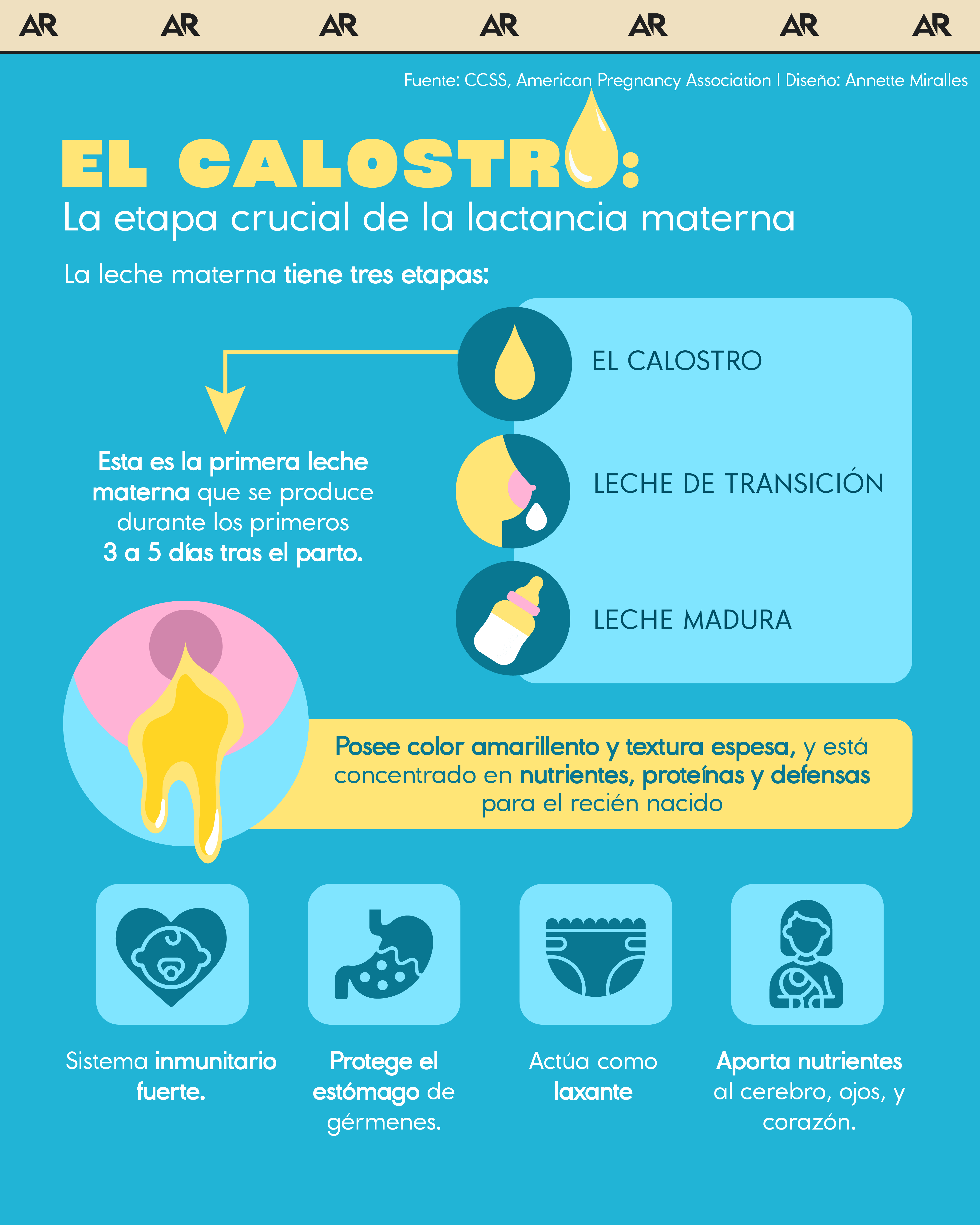 El calostro: La etapa crucial de la lactancia materna