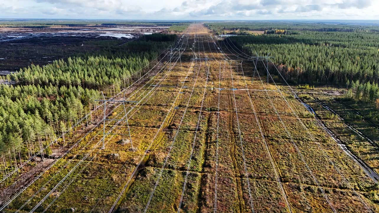 Redes eléctricas a terreno donde se construirá data center de Google en Finlandia.