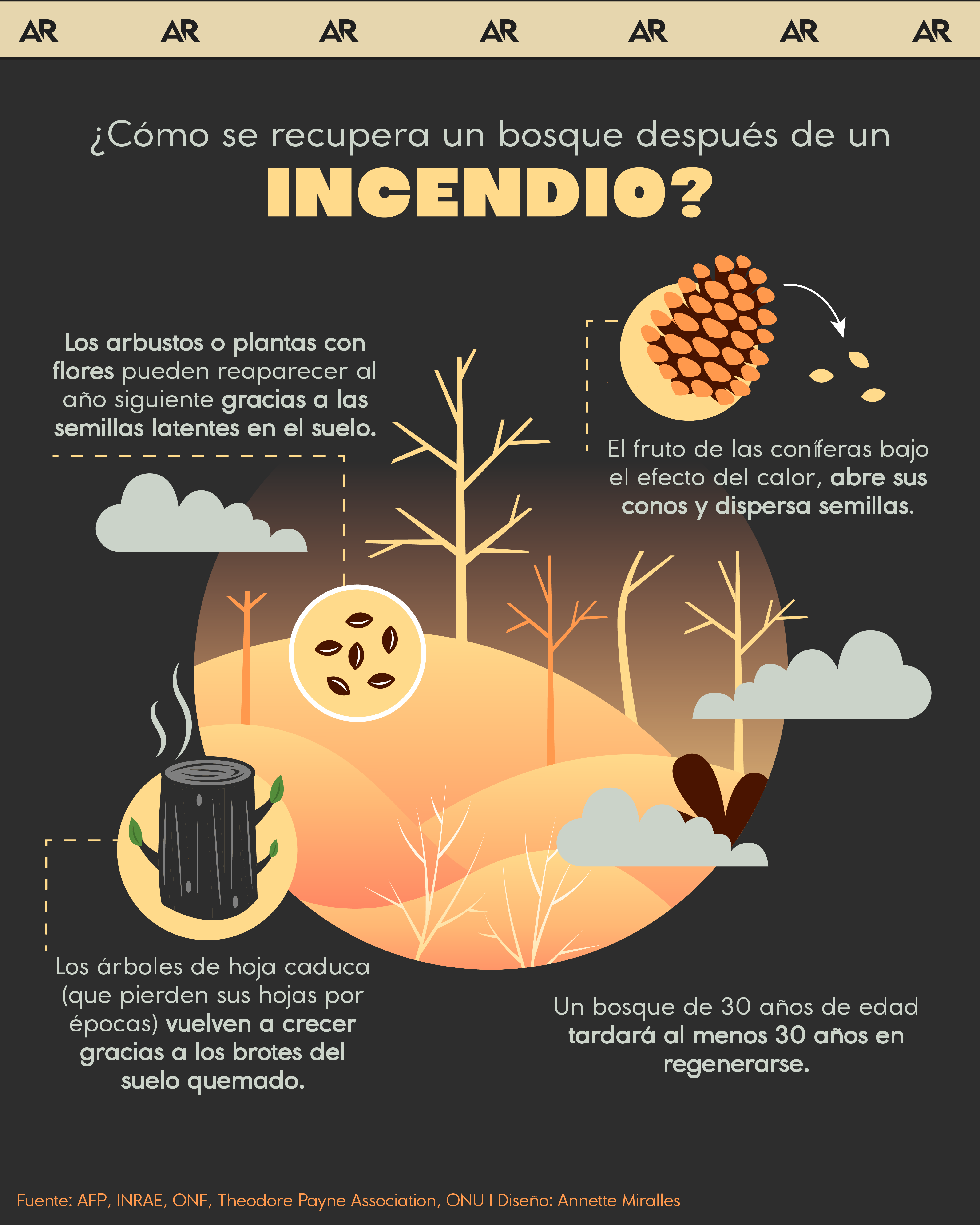 bosques, incendios, ambiente, noticias, Costa Rica 