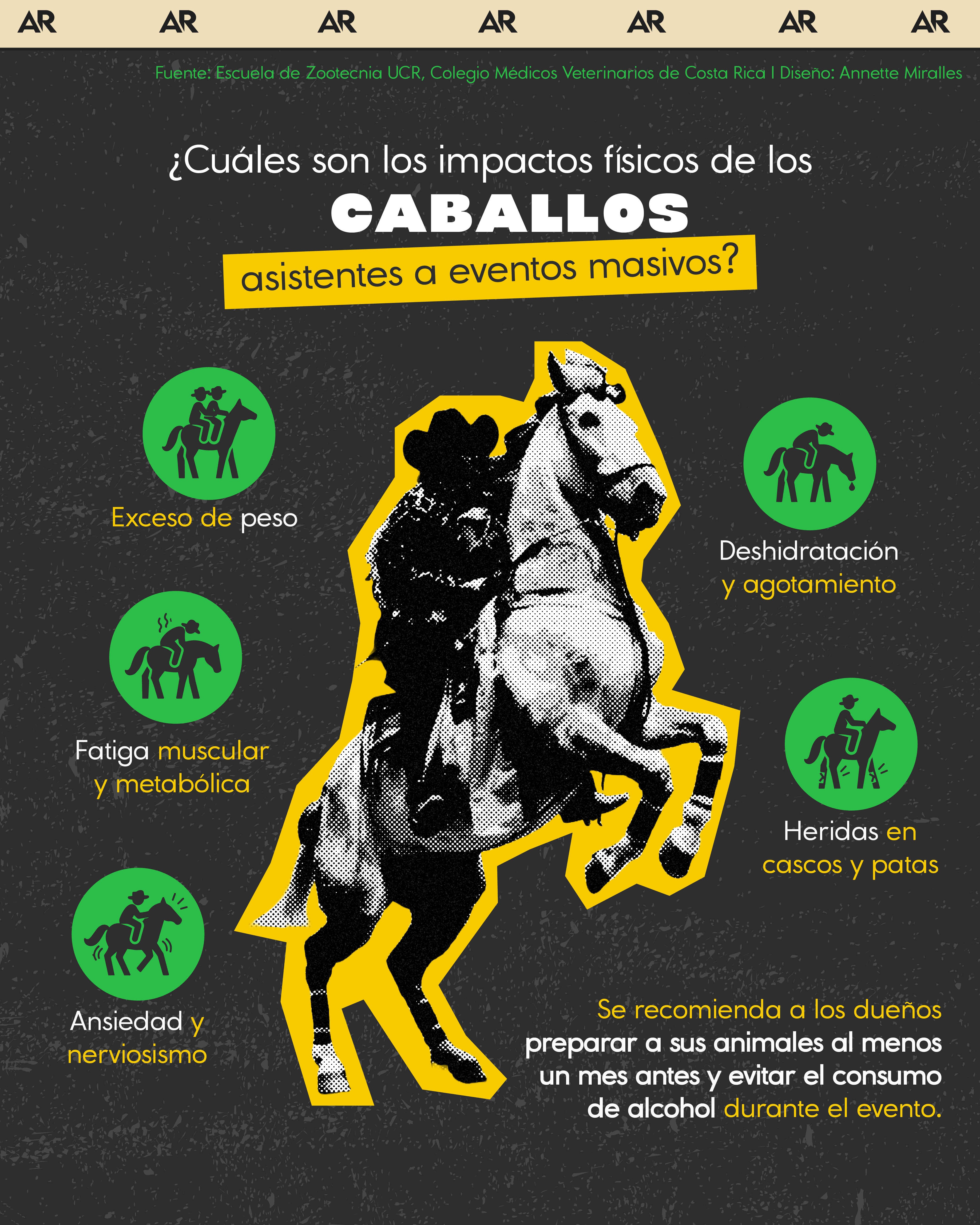 caballos, tope, salud, noticias, Costa Rica 