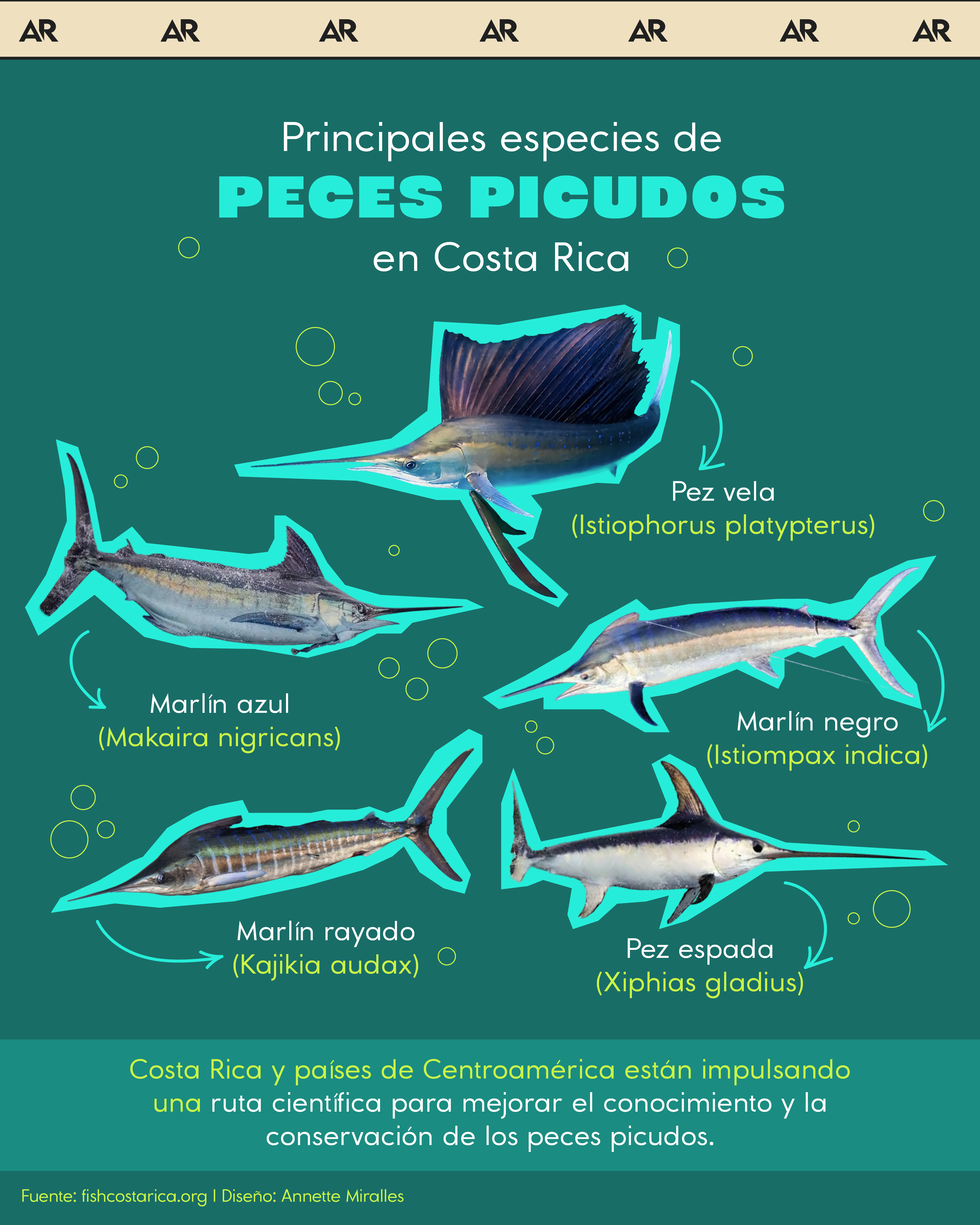 peces picudos, ambiente, noticias, Costa Rica 