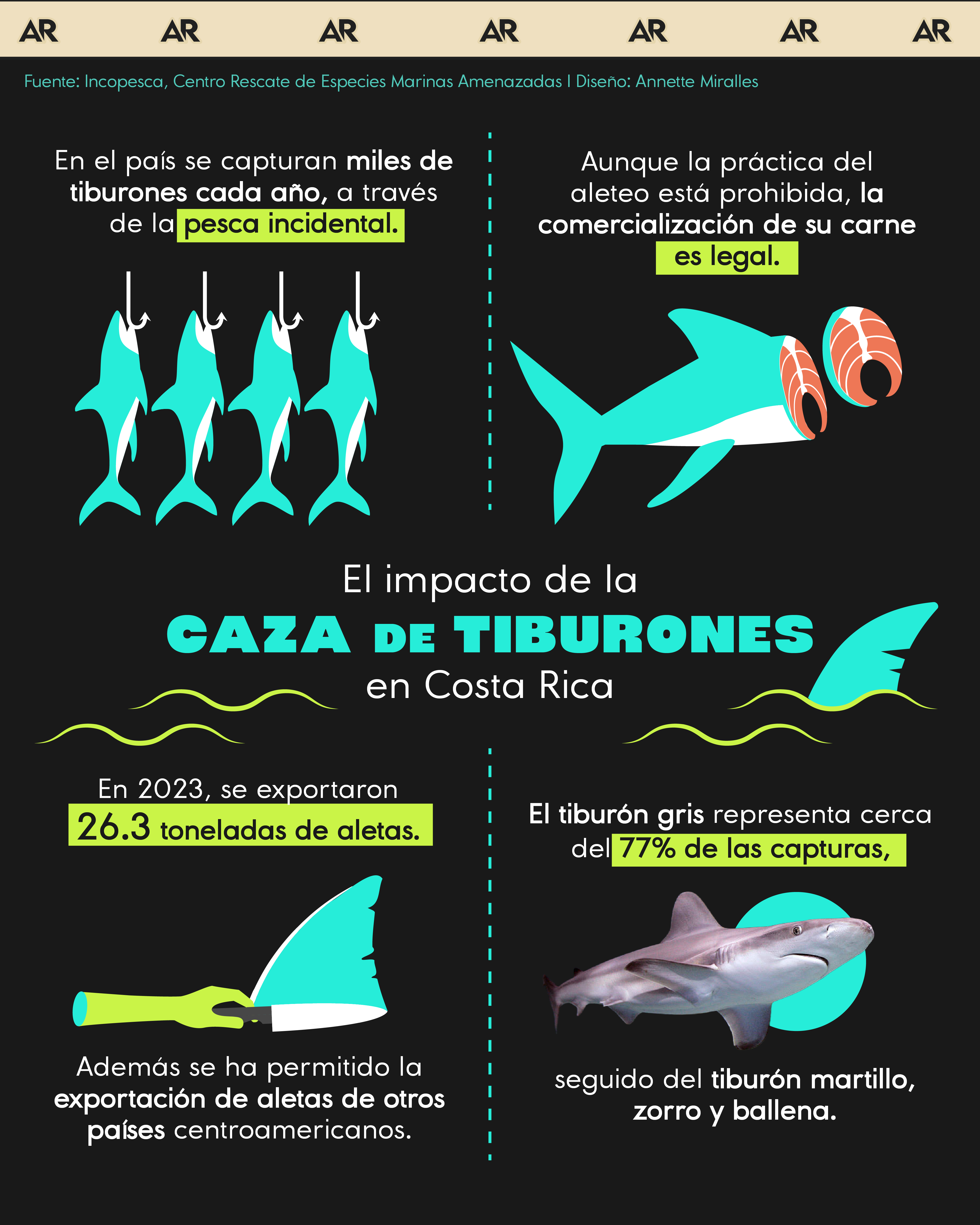 El impacto de la caza de tiburones en Costa Rica