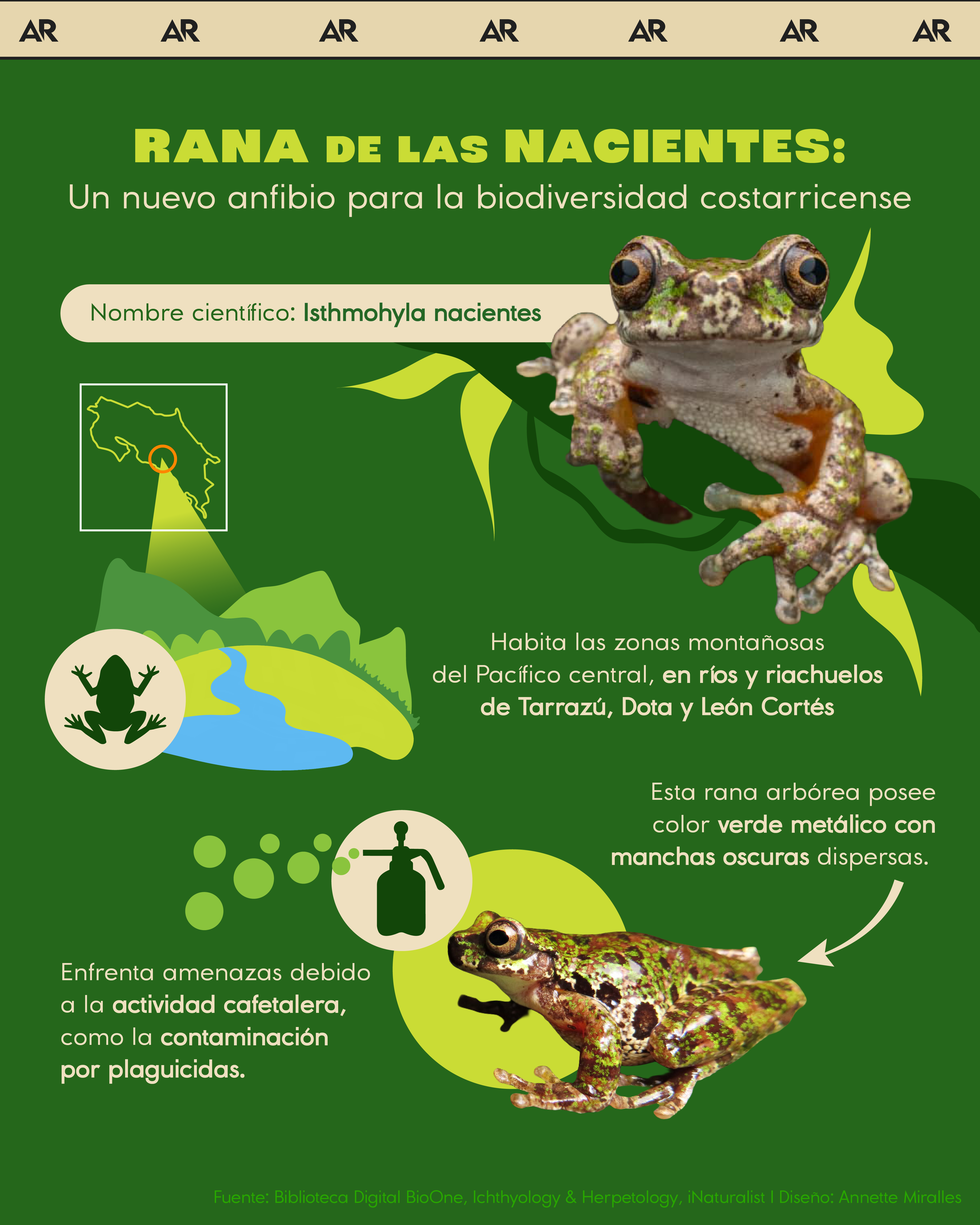 rana, nacientes, descubrimiento, ambiente, noticias, Costa Rica 