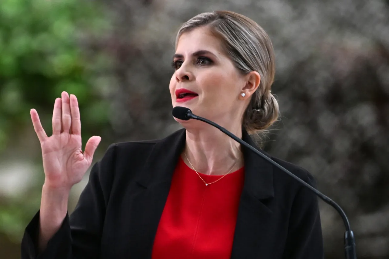Decreto, Secreto de Estado, Laura Fernández, recurso de amparo, acción de inconstitucionalidad, noticias, Costa Rica