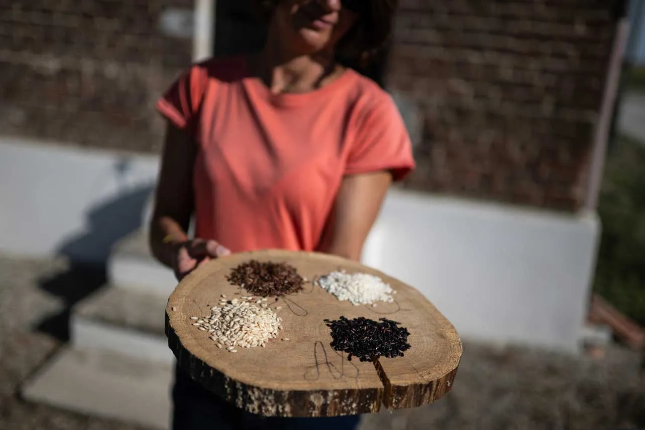 mujer muestra variedades de arroz