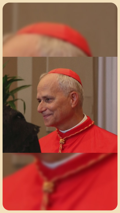 Papa León XIV