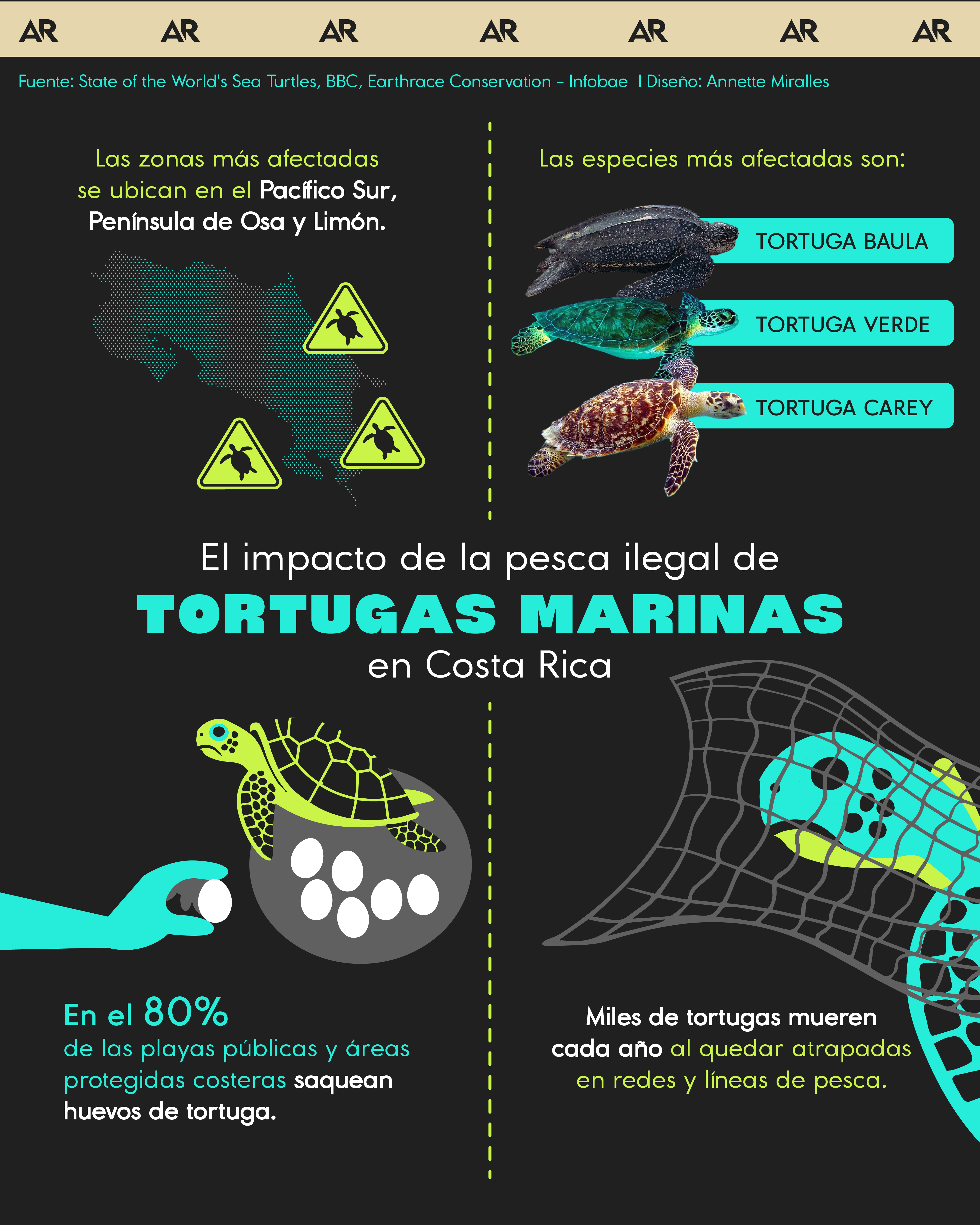 El impacto de la pesca ilegal de tortugas marinas en Costa Rica