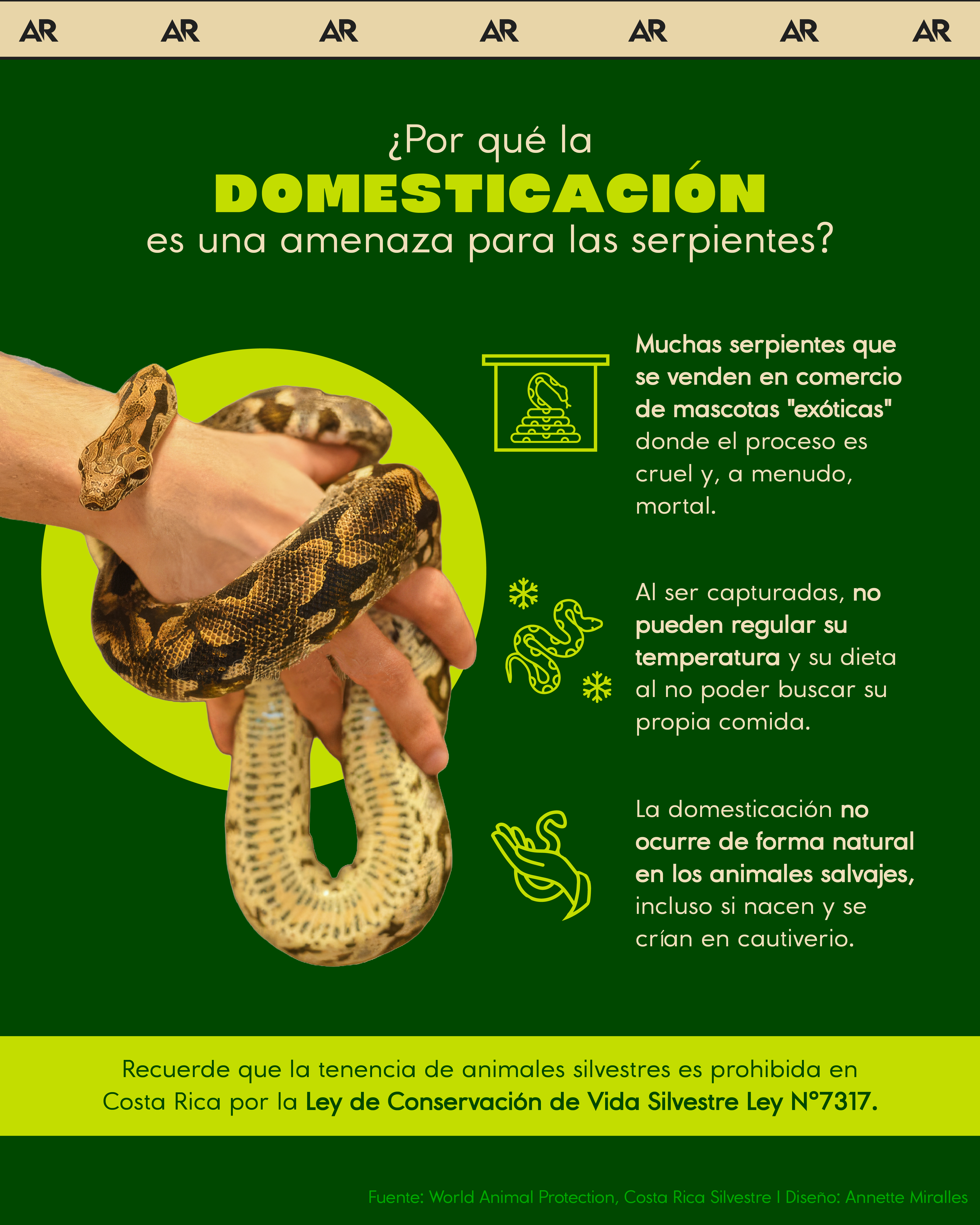 ¿Por qué la domesticación es una amenaza para las serpientes?