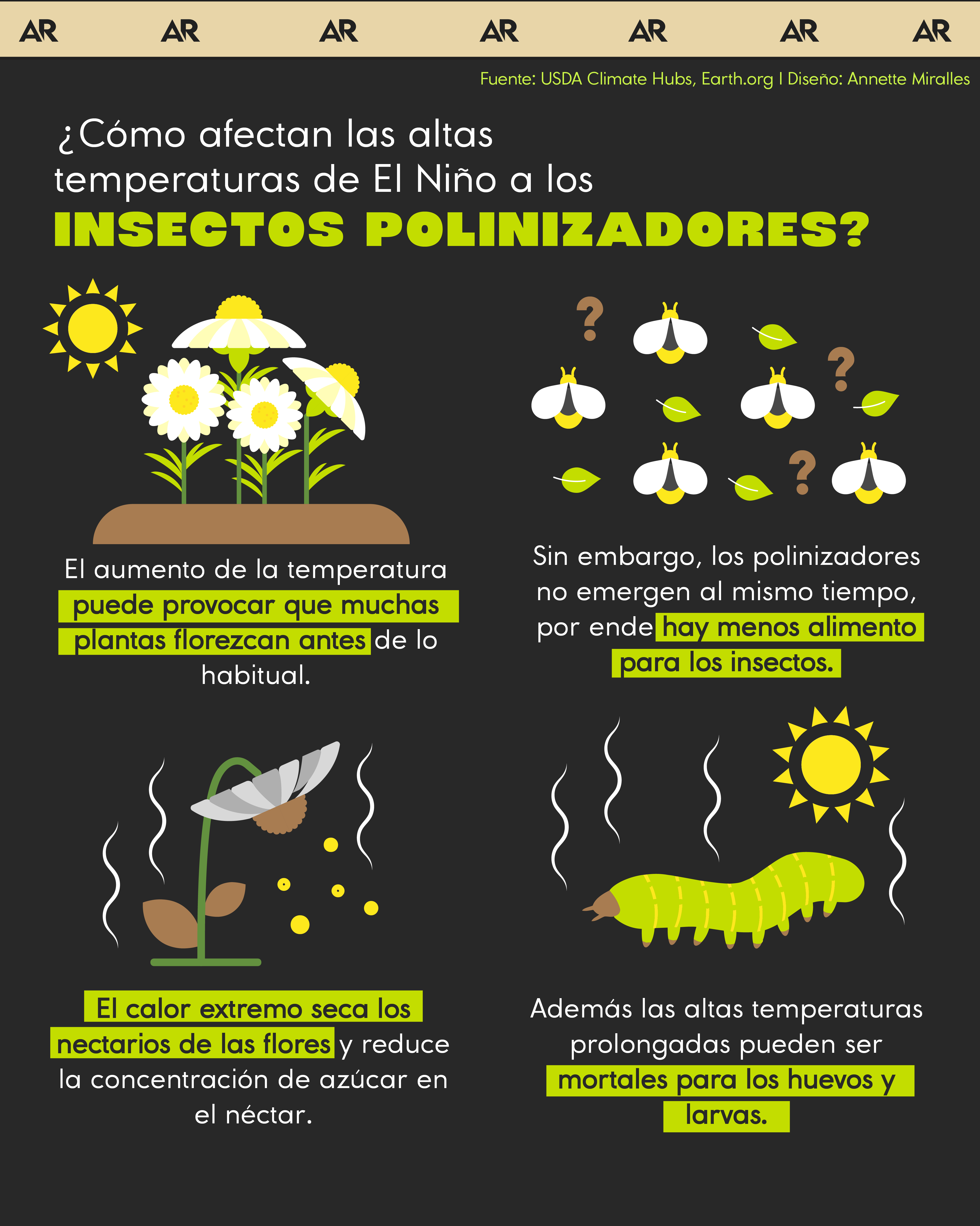 ¿Cómo afectan las altas temperaturas de El Niño a los insectos polinizadores?