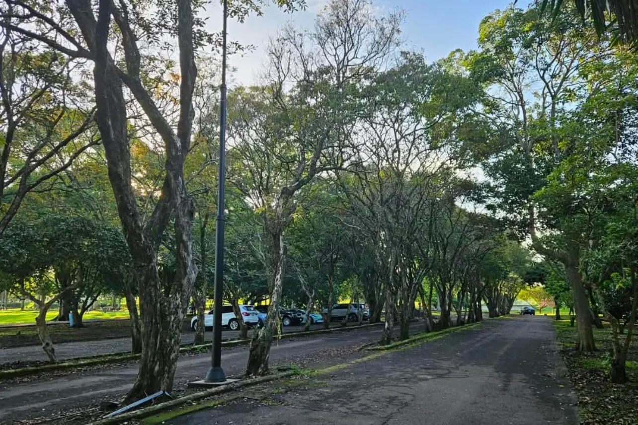 postes, CNFL, iluminación, La Sabana, noticias, Costa Rica