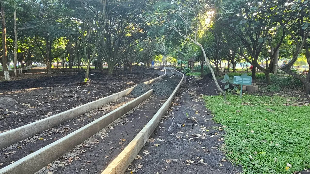 161026_Iluminación_La_Sabana_interna
