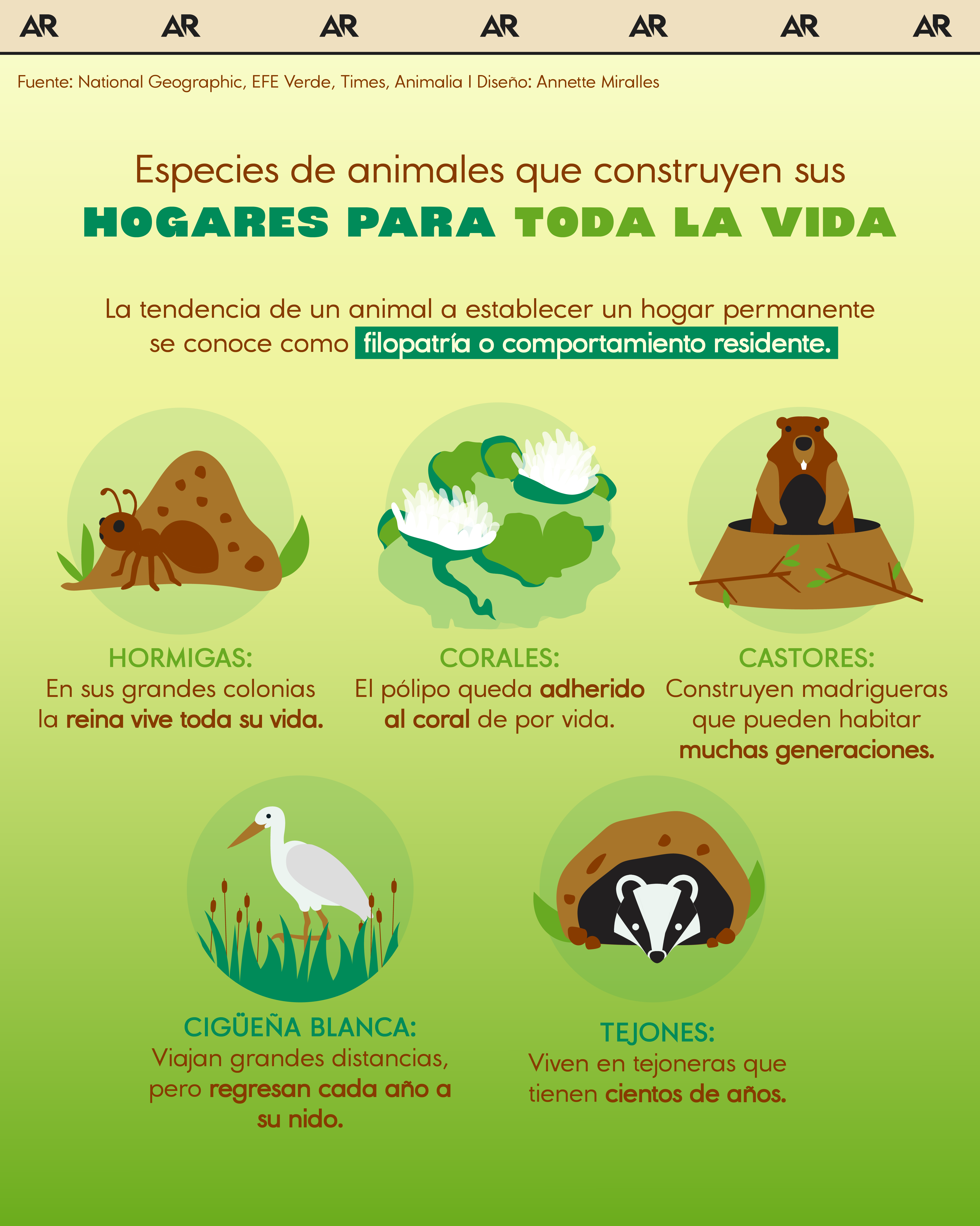 Especies de animales que construyen sus hogares para toda la vida