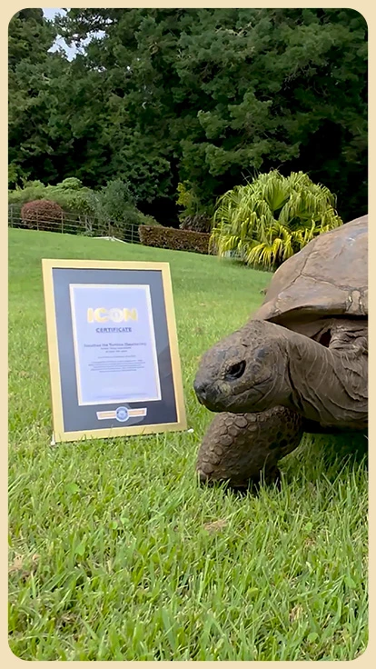 Tortuga con récord de longevidad.