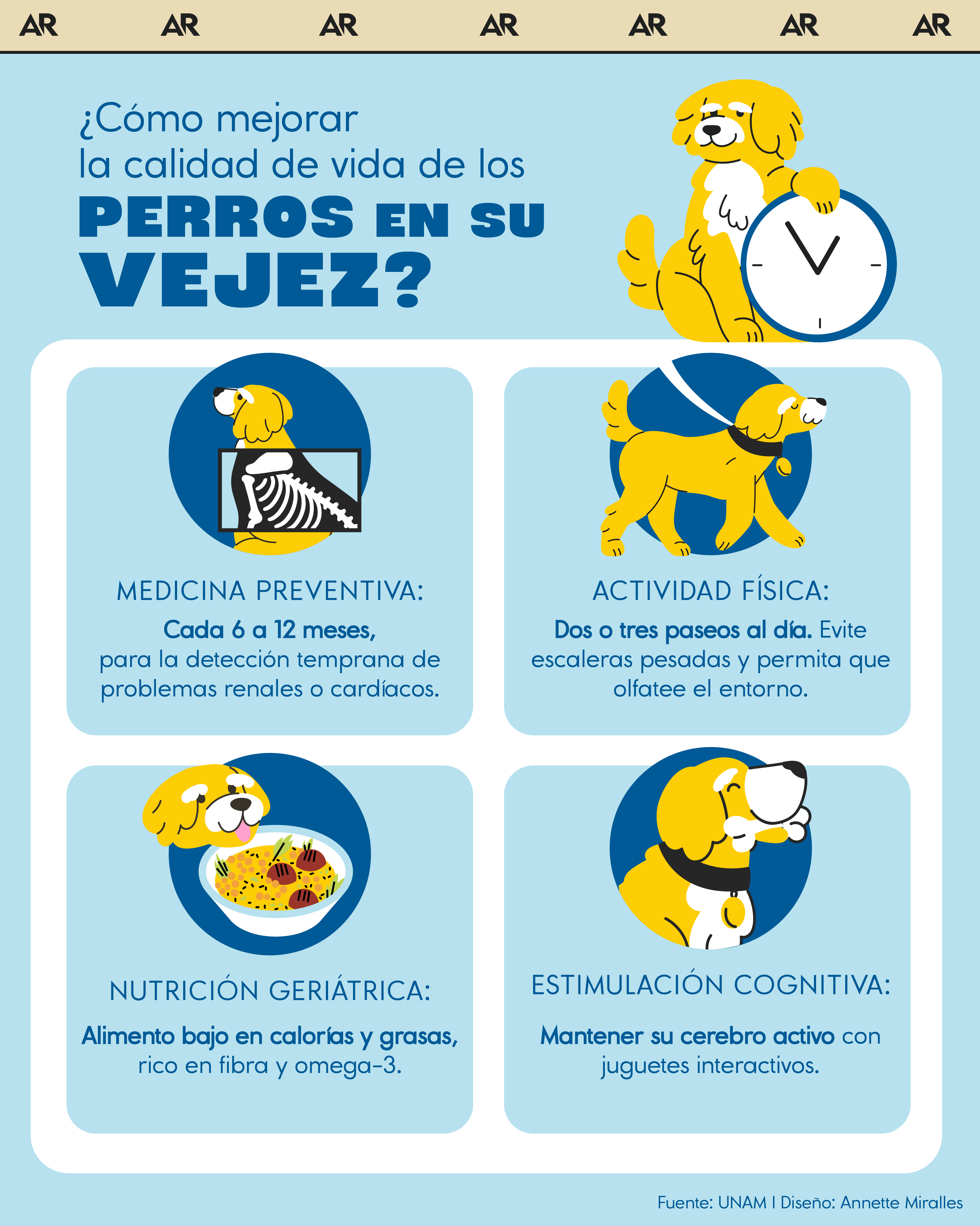 ¿Cómo mejorar la calidad de vida de los perros en su vejez?