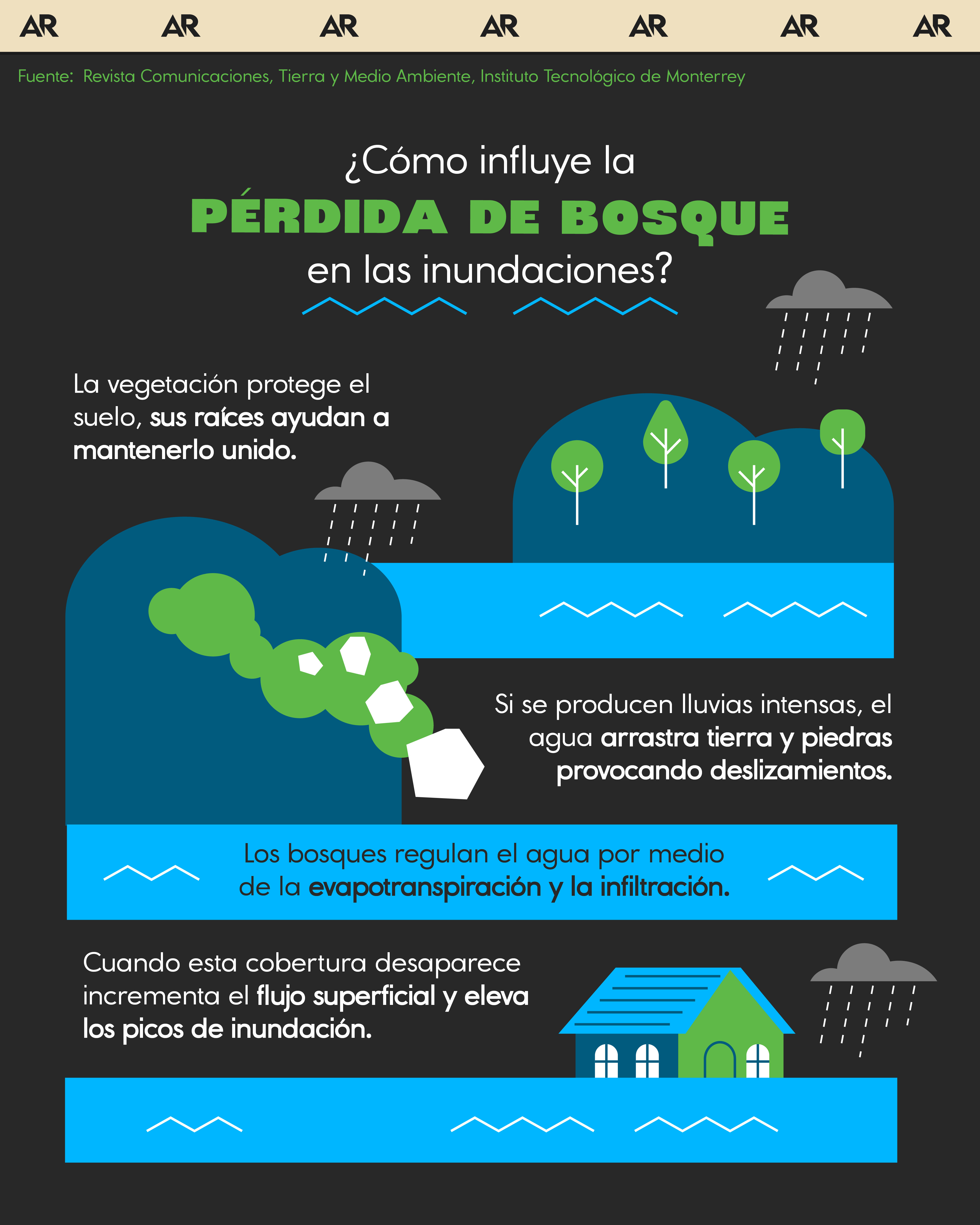 ¿Cómo influye la pérdida de bosque en las inundaciones?