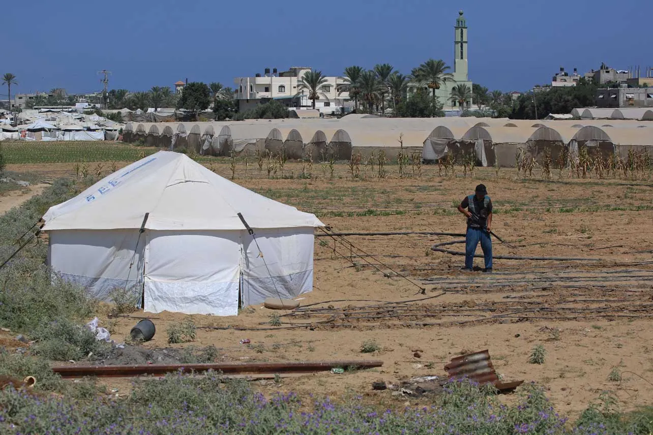 Carpa donde se guardan semillas en Gaza.