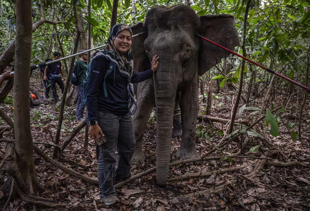 Conservacionista Farina Othman junto a un elefante en Borneo.