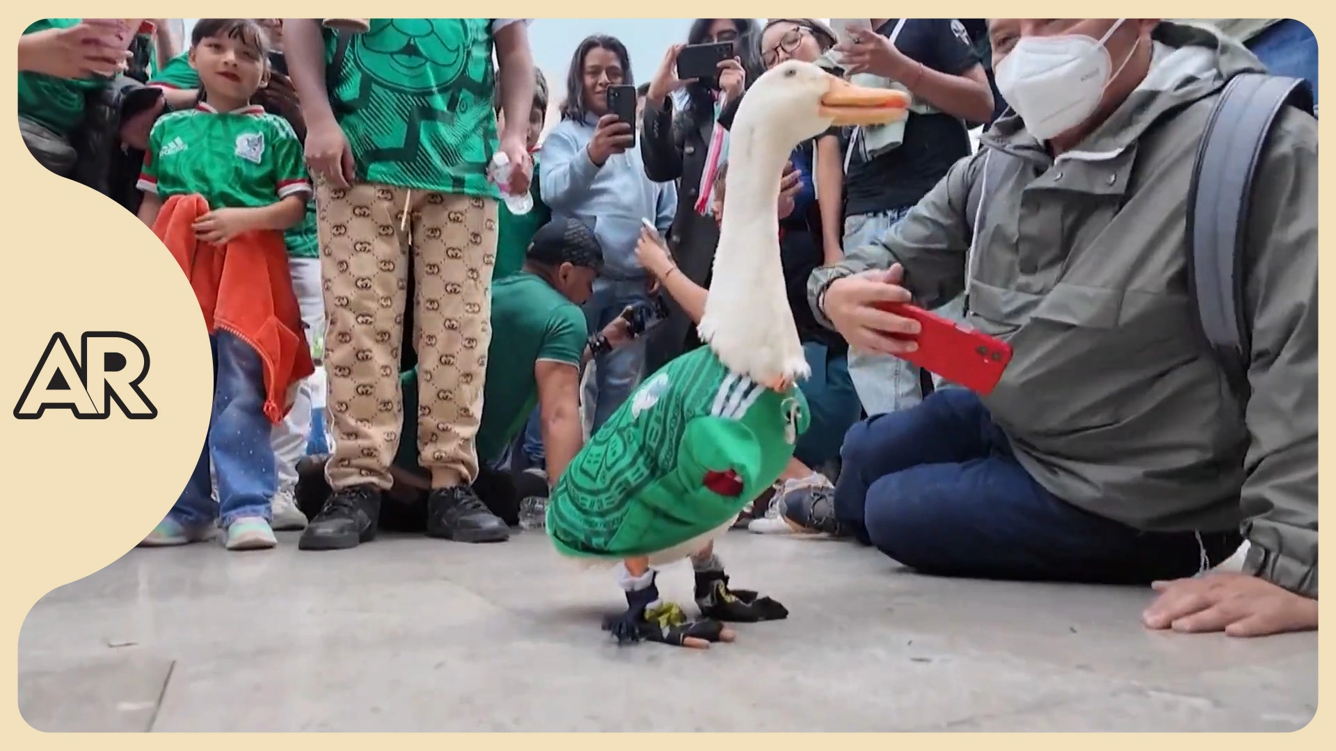 Merlín, el pato mundialista que conquistó a México y visitó a Sheinbaum