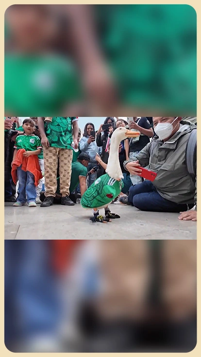 Pato Merlín en el Mundial de México 2026