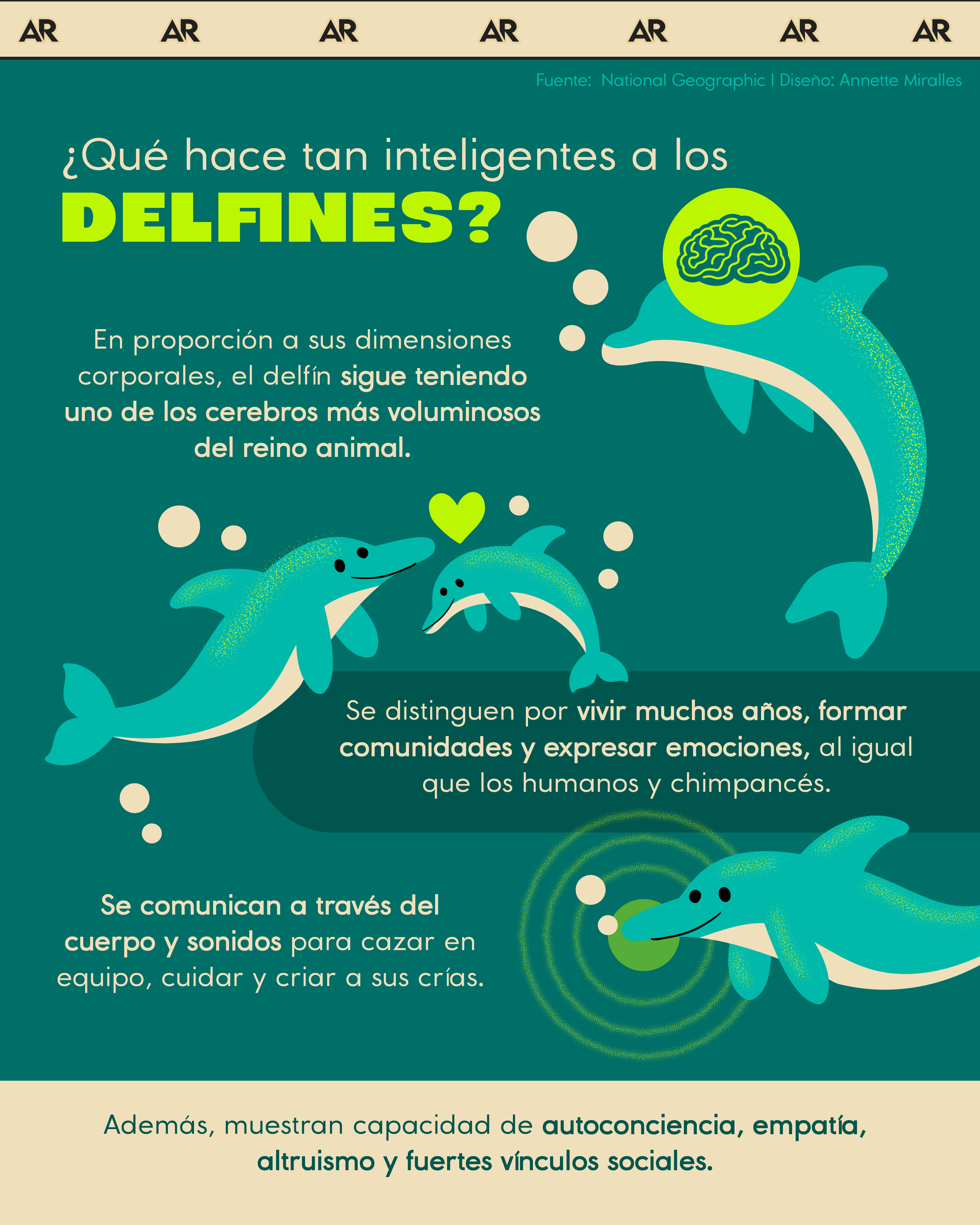 ¿Qué hace tan inteligentes a los delfines?