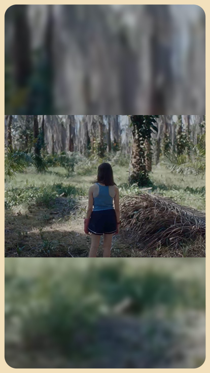Niña mira plantación de palmera.