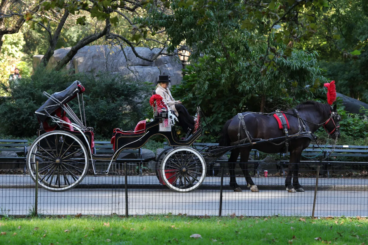 Central Park, Nueva York, carruajes, prohibición