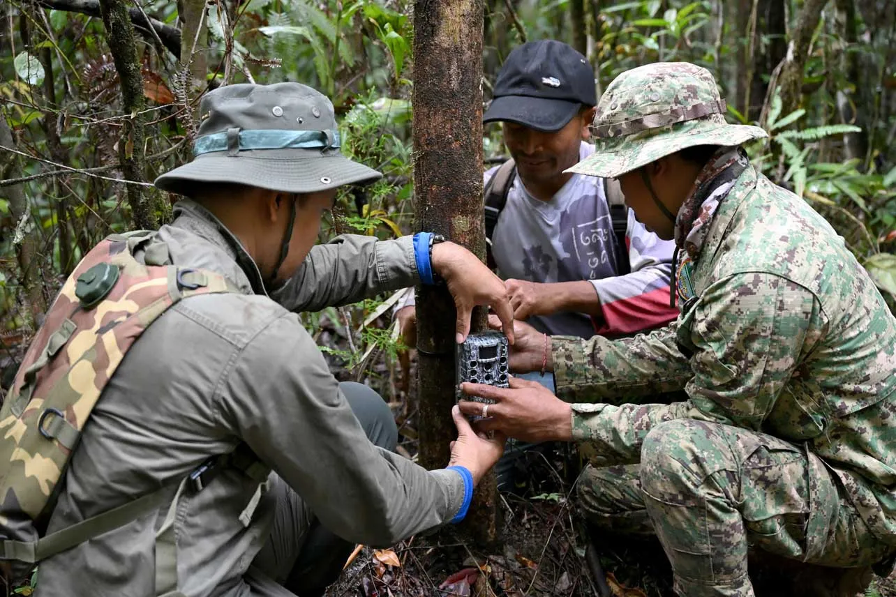 Instalación de cámara trampa en bosque de Camboya.