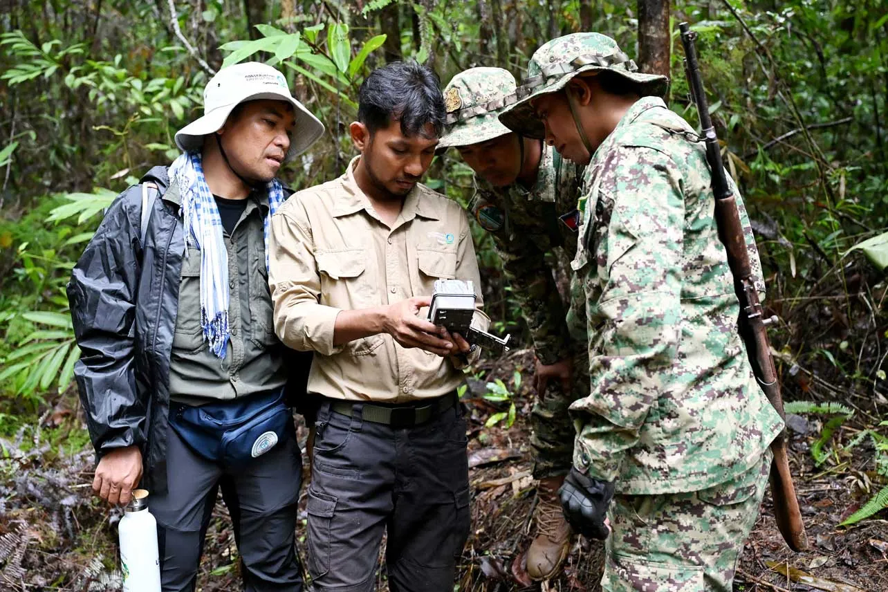 Instalación de cámara trampa en bosque de Camboya.