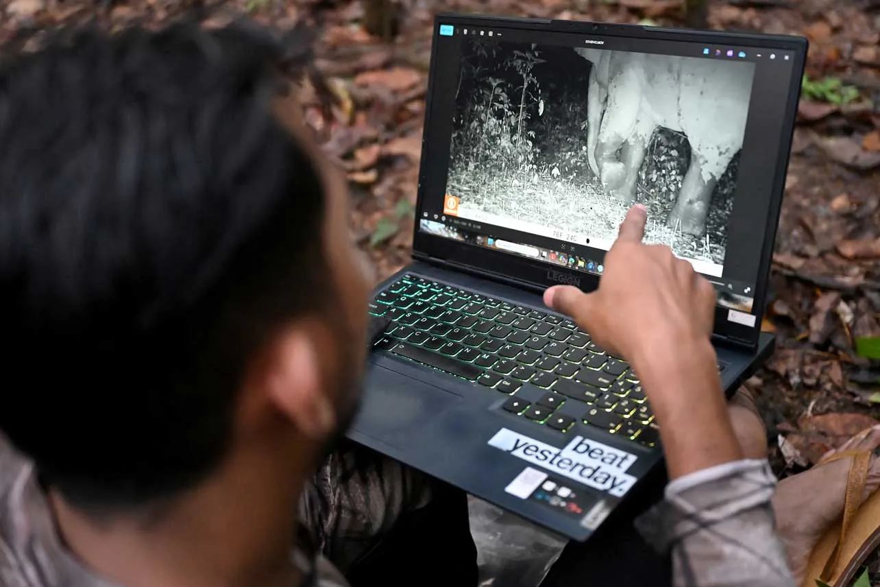 Monitoteo de cámara trampa en bosque de Camboya.