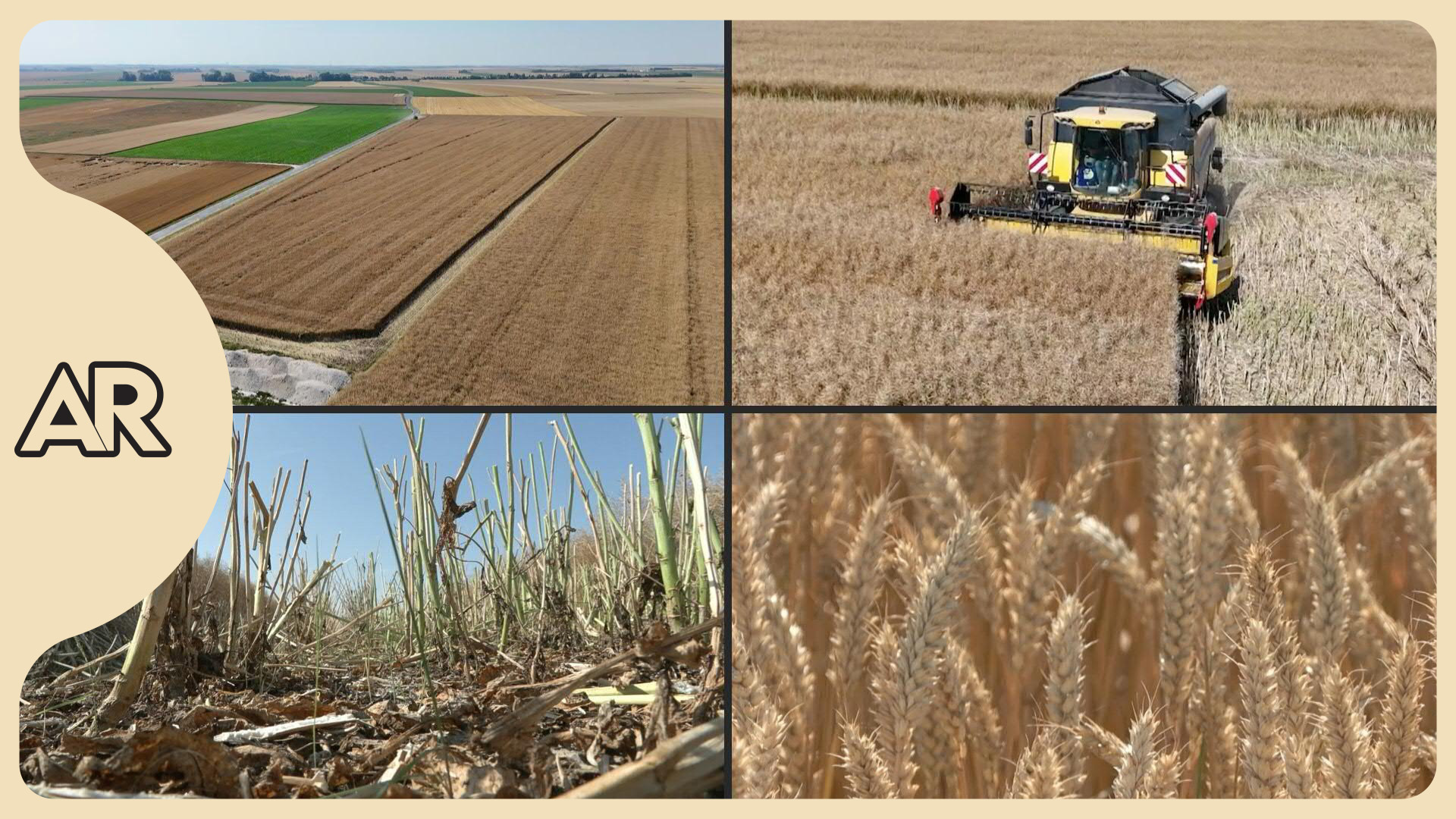 Cambio climático y conflictos amenazan la seguridad alimentaria