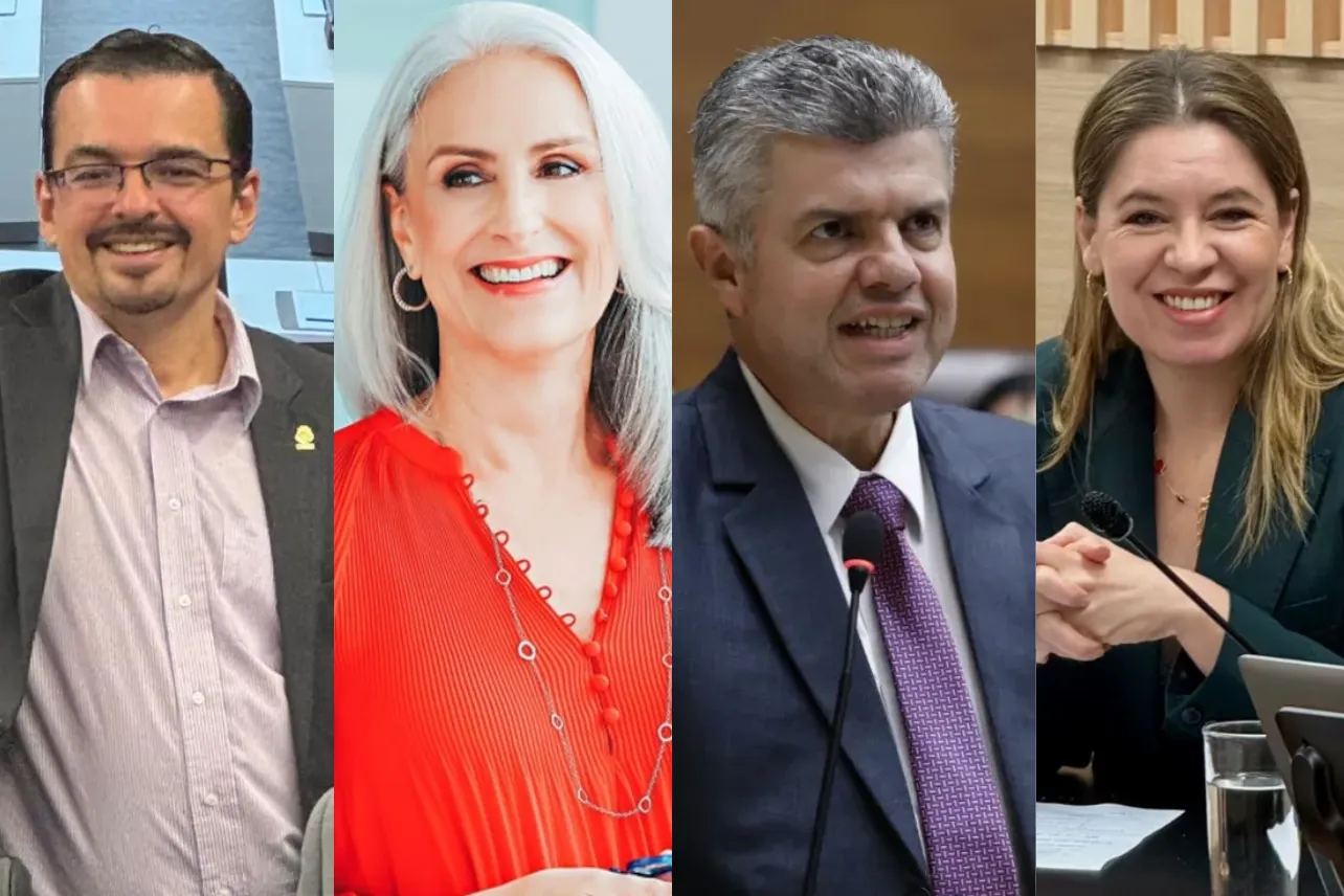 Jefes, fracción, diputados, Gobierno, oposición, Laura Fernández, noticias, Costa Rica