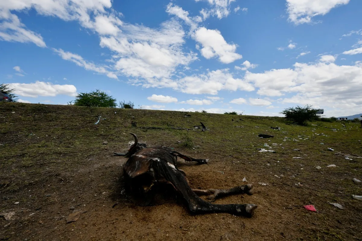 Afectación por El Niño en Centroamérica