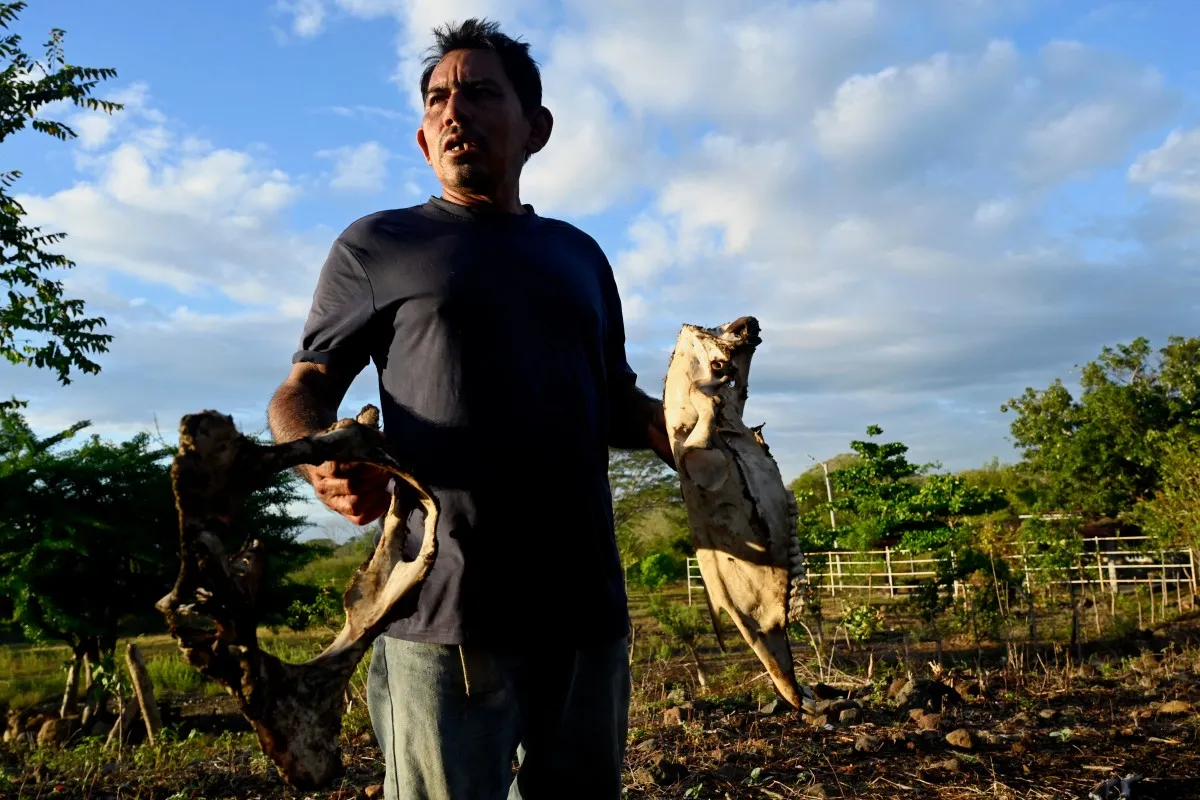 Afectación por El Niño en Centroamérica