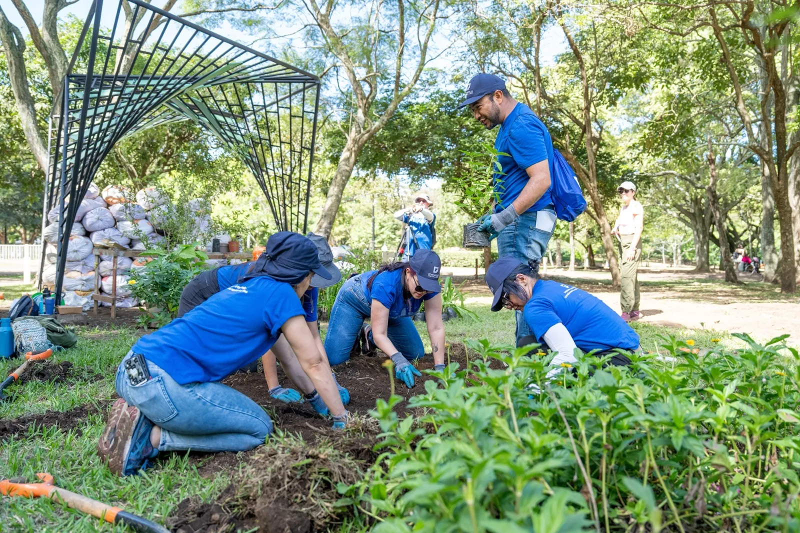 Voluntariado en La Sabana